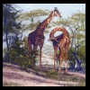 Africa
Giraffes
Private Collection