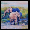 Africa
Elephants
Private Collection