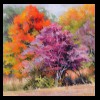 Illinois
Garden Warmth
Private Collection