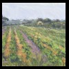 France
Chateneuf du Pape 
Private Collection