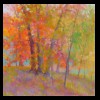 Color Copse Revisited
Pastel, 2017