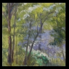 Cool Blooms In The Garden
New Work 2011
Available for Sale