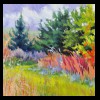 Illinois
Grasses and Lace
Available for Sale