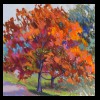 Illinois
Pavilion Oak
Available for Sale