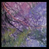 First Snow
New Work 2011
Available for Sale