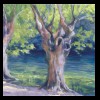 France
Fontaine du Vaucluse Plane Trees
Private Collection
