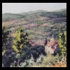 Tuscany, Italy
Santa Maria Nuova From Above
Available for Sale