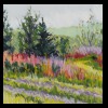 Midwest
Grasses on the Drive
Available for Sale