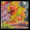Midwest
Gwynne's Garden Maple
Private Collection