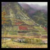 Indonesia
Indonesian Potato Fields
Collection of the Artist
