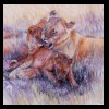 Africa
Lions
Private Collection