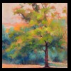Lone Maple, Washington Park
Pastel, 2015