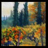 France 
Neighborhood Vineyard 
Available for Sale