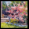 Illinois
Pink Beauty 2
Private Collection