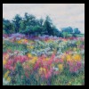 Illinois
Pond With Flowers
Available for Sale