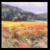 France
Wild Poppies
Private Collection