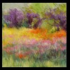 Prairie Flowers
2013
Available for Sale