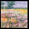 Illinois
Prairie Plants at FireThorn
Private Collection