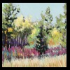 Colorado
Sundance Red Grasses
Private Collection