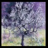 Tuscany, Italy
San Gimignano Olive
Available for Sale