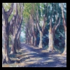 France
San Remy Drive
Private Collection