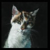 Smudge
2013
Private Collection