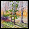 Illinois
Snow Dust, Washington Park
Available for Sale