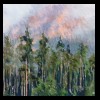 Wyoming
Teton Tree Storm
Private Collection