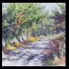 France 
Van Gogh's Road
Collection of the Artist