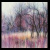 Illinois
Winter, Lincoln Memorial Garden
Available for Sale